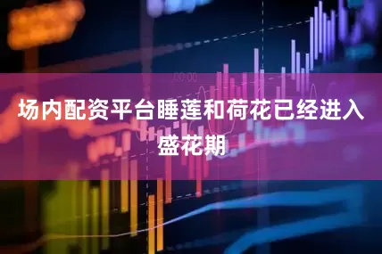 场内配资平台睡莲和荷花已经进入盛花期
