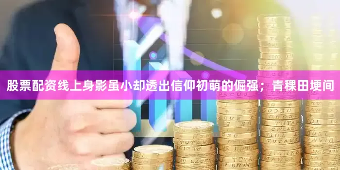 股票配资线上身影虽小却透出信仰初萌的倔强；青稞田埂间